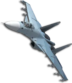 Su-33 Special Skin