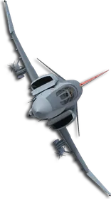 F-4E Queen (Little Bee) Skin
