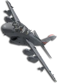 EA-6B Queen (Little Bee) Skin