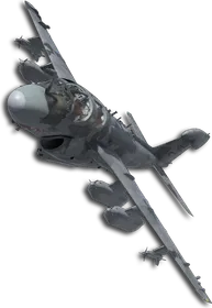 EA-6B Gray Wolf Skin