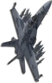 F/A-18E Special Skin