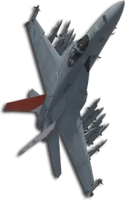 F/A-18E Queen (Little Bee) Skin
