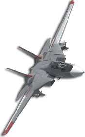 F-14A Special Skin