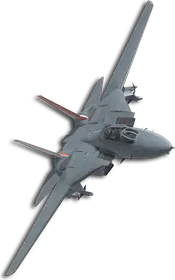 F-14A Queen Skin