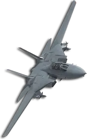 F-14A Joker Skin