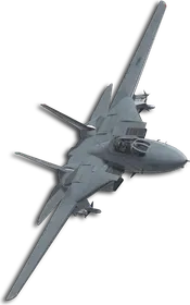 F-14A Wings "X Mark" Skin
