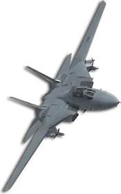 F-14A Five Wings "Covering X Mark" Skin