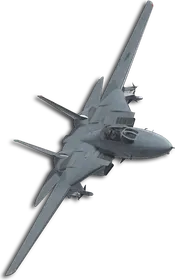 F-14A Joker (Tasha) Skin