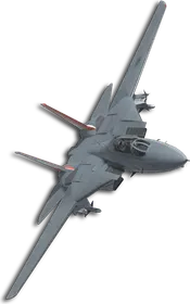 F-14A Queen (Little Bee) Skin