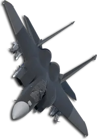 F-15C Two-Tone Black/Gray Skin