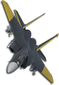F-15C Two-Tone Black/Yellow Skin