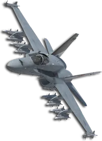 F/A-18C Five Wings "Covering X Mark" Skin