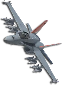 F/A-18C Queen (Little Bee) Skin