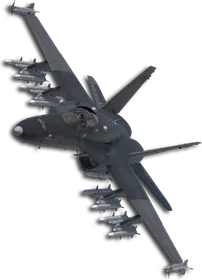 F/A-18C Two-Tone Black/Gray Skin