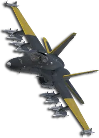F/A-18C Two-Tone Black/Yellow Skin